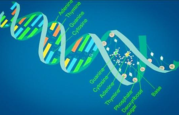 美弗留学全面解析美国研究生生物统计专业