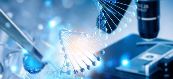打破常规，美国留学生物医学工程专业硕士申请条件分享