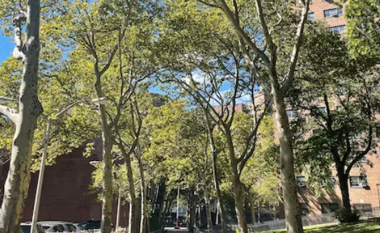 美国约翰霍普金斯大学有金融数学专业吗？