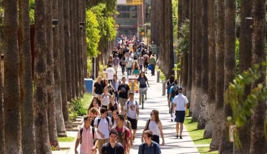 国内考研太卷，去国外申请研究生难度如何？