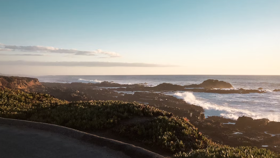 乔治敦大学政治经济学专业核心课程有哪些