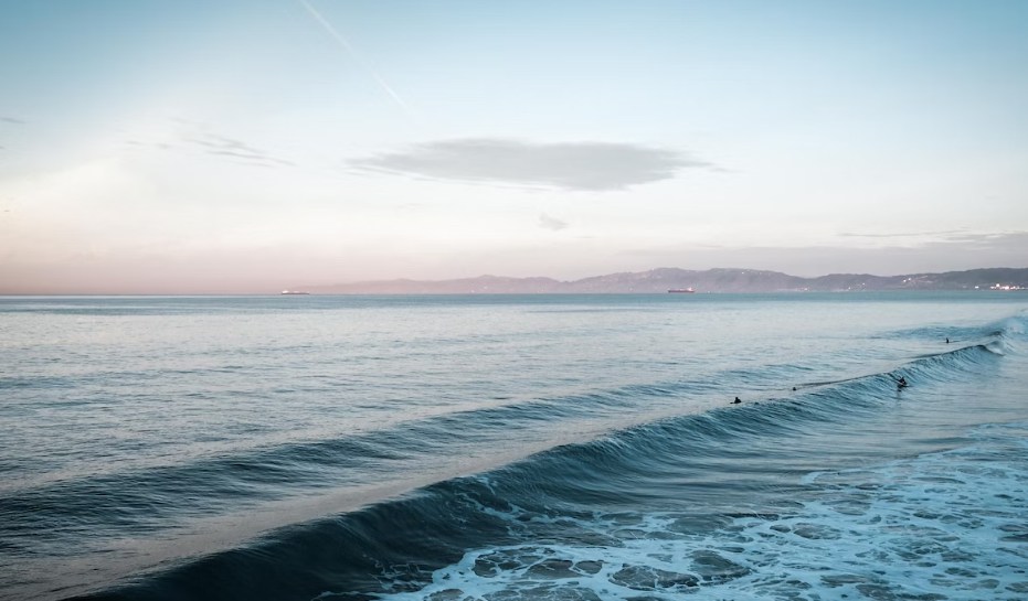 哥伦比亚大学热门商科硕士盘点