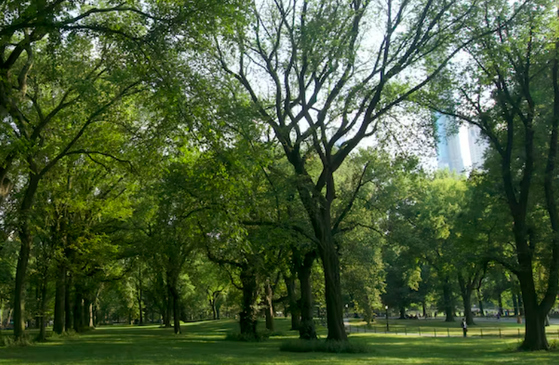 美国留学文理学院的特点有哪些