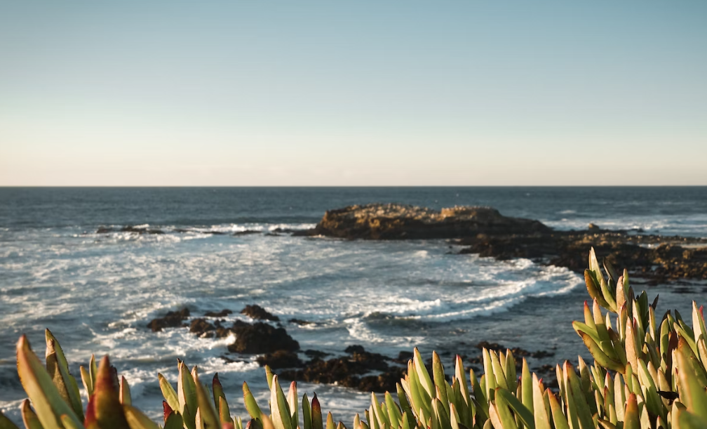 美国高中留学一年需要多少学费？还包括哪些其他费用？