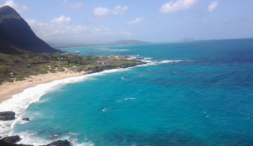 美国本科留学回国好就业吗